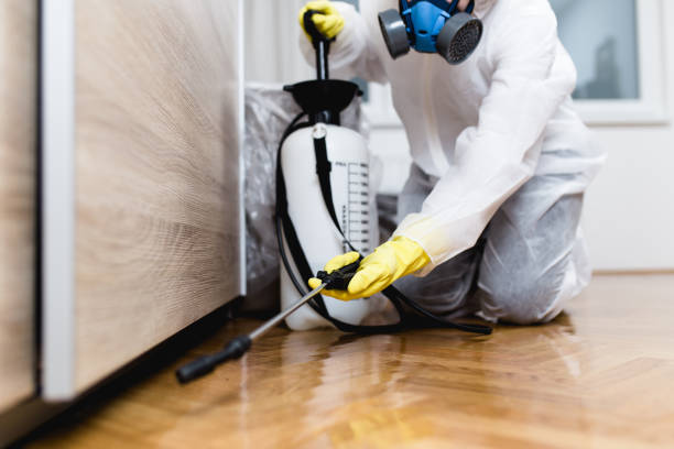 Best Pest Removal Services  in Smith Center, KS