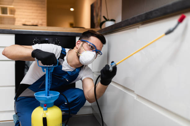 Best Emergency Pest Control  in Smith Center, KS