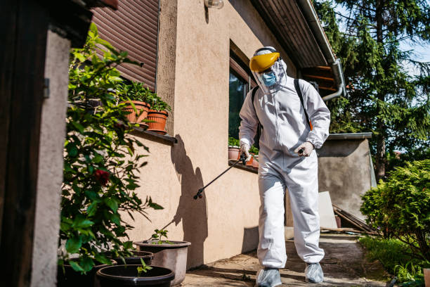 Best Wasp Removal Services  in Smith Center, KS