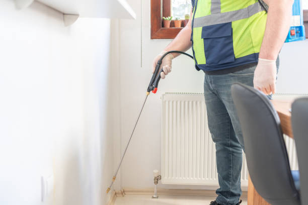 Best Flea Control Services  in Smith Center, KS