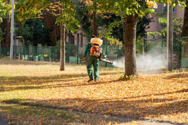 Best Mosquito Control Services  in Smith Center, KS
