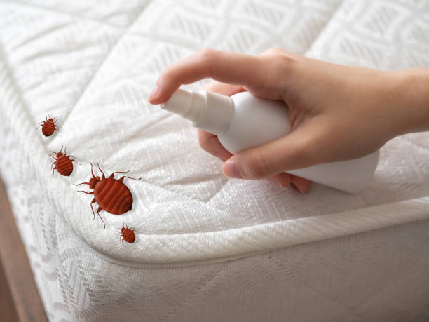 Best Pest Prevention Services  in Smith Center, KS