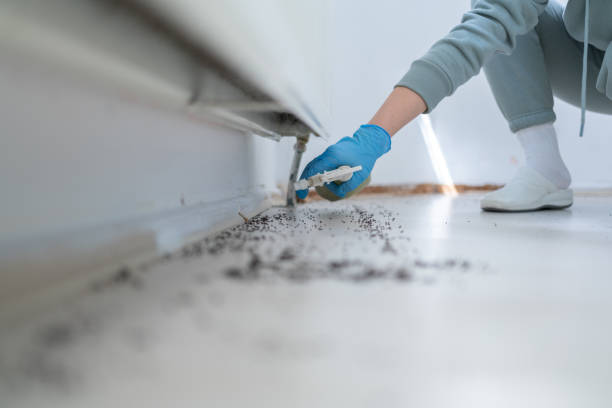 Reliable Smith Center, KS Pest Control Solutions