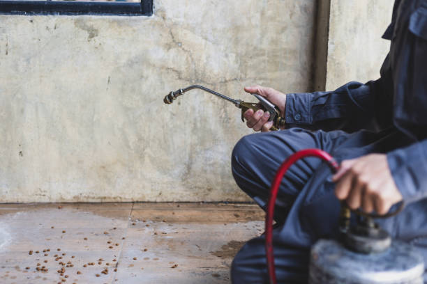 Best Termite Control Services  in Smith Center, KS